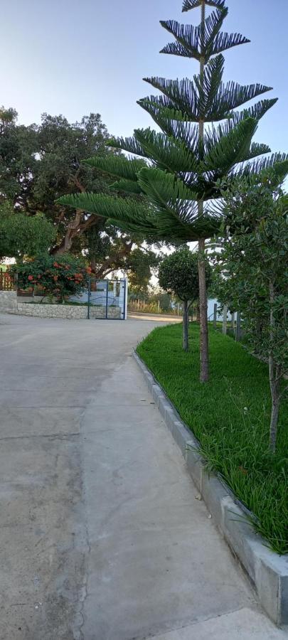 Monte Da Vinha Nova Villa Santiago do Cacém Exteriör bild